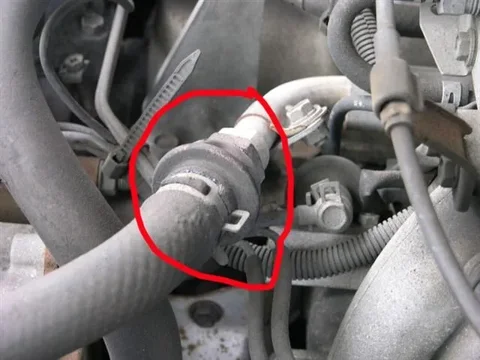 P2282071 (Small).webp