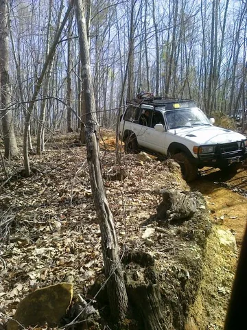 Imported Photos 00083.webp