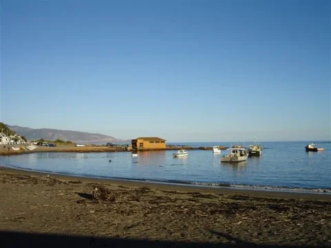 SuburbIslandBay1.webp
