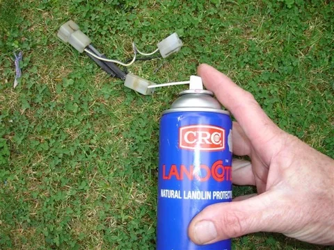 lanolin.webp