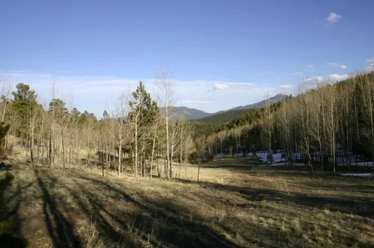 miners candle 1.webp