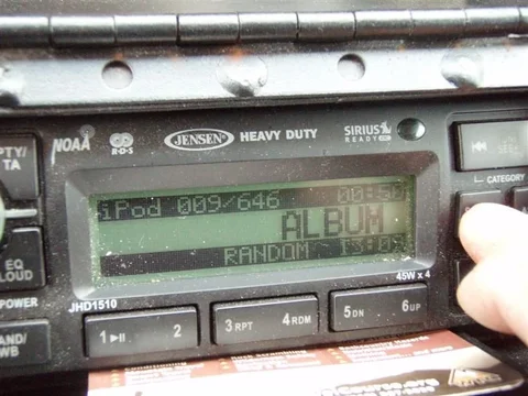 P1010275 (Medium).webp