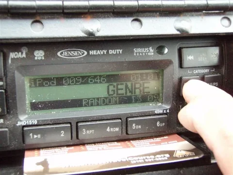 P1010276 (Medium).webp