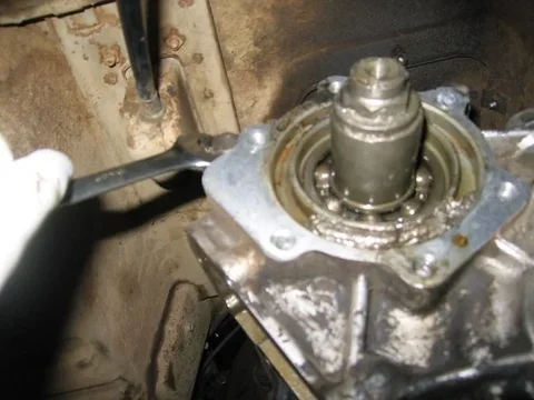 Image 3.webp