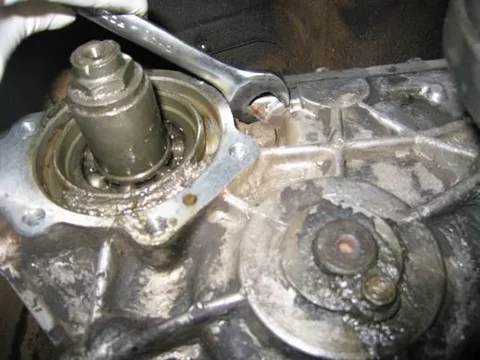 Image 5.webp