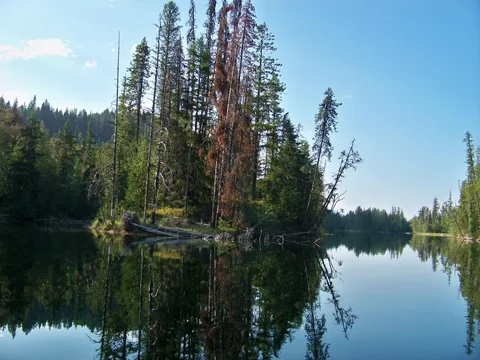 100_0304.webp 100_0304.webp