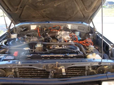 DSC03484 resized.webp