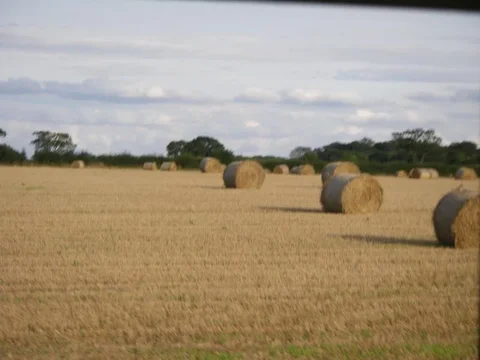 IMGP0345.webp