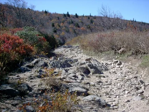 ivestor gap trail.webp