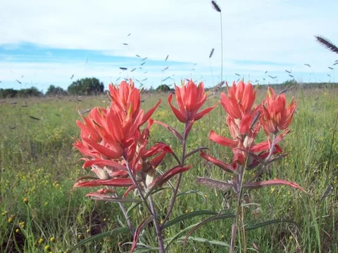 100_1319.webp 100_1319.webp