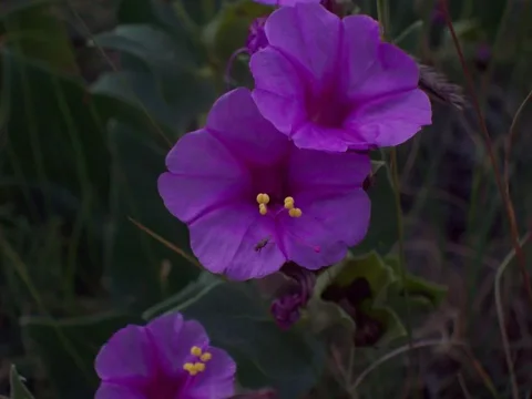 100_1325.webp 100_1325.webp