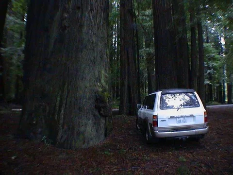 DSC00151.webp