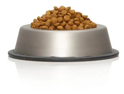 Dog Food.webp