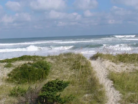OBX_10 001.webp