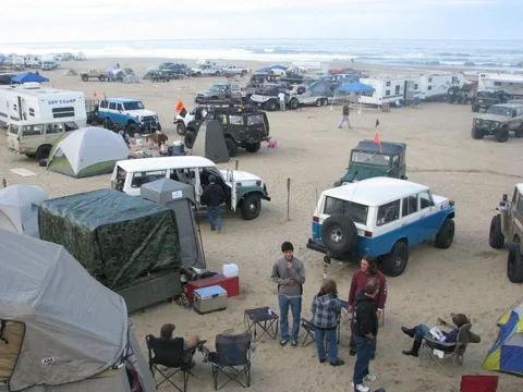 PismoPigMojo1.webp