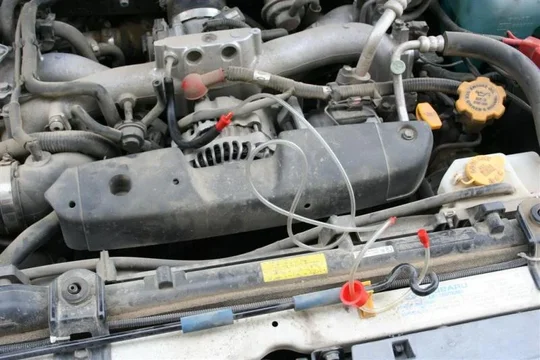 IMG_0822 (Large).webp