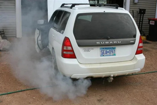 IMG_0826 (Large).webp