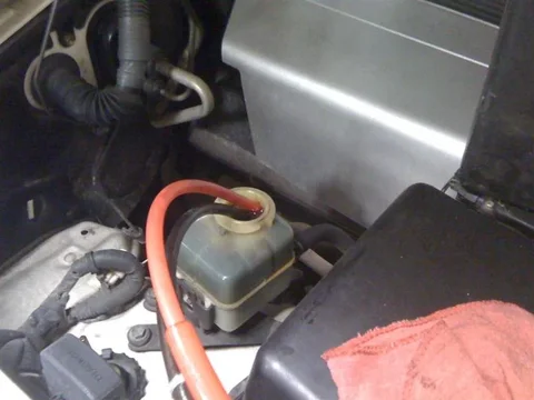 IMG_1942 (Medium).webp