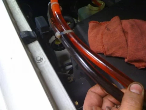 IMG_1943 (Medium).webp