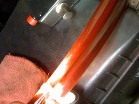 IMG_1946 (Medium).webp