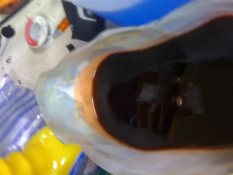 IMG_1947 (Medium).webp