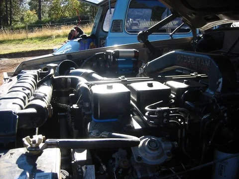 F10.webp