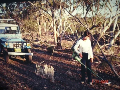 OldAlbums05.webp