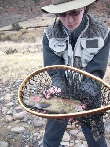 Neil Rainbow (ark).webp