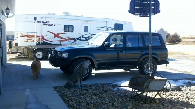 2011-02-13_13-31-57_841.webp