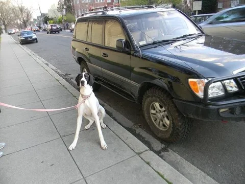 random 154.webp