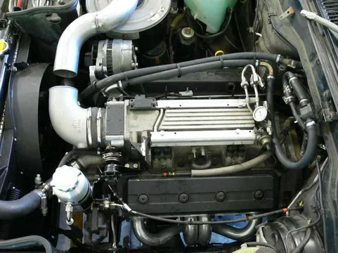 P1000088(2).webp