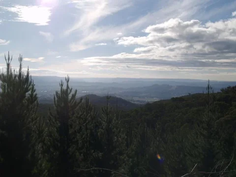 P4241662.webp