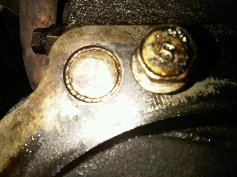 close up.webp