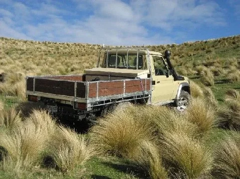 Mark's Cruiser tussock 1.webp
