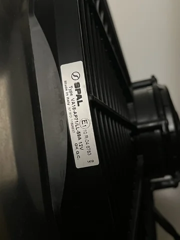 IMG_7539.jpeg