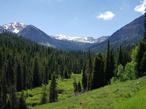 greysriver.jpg