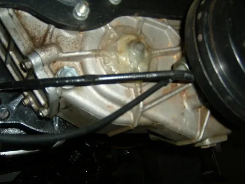DSCF0001.webp