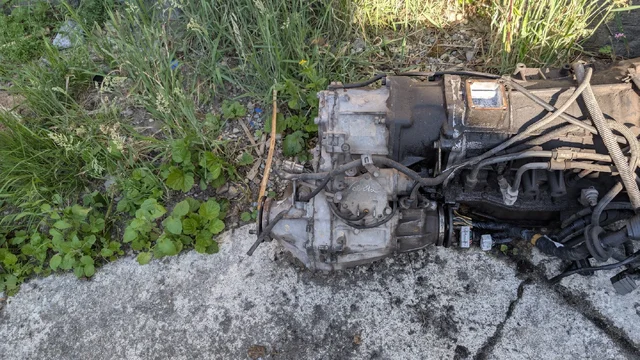 PXL_20250702_012328057.jpg