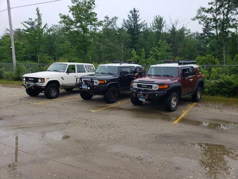 20250614_114236.jpg