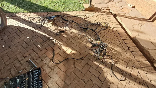 20250711_155542.jpg
