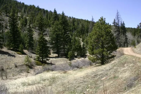 land 2.webp