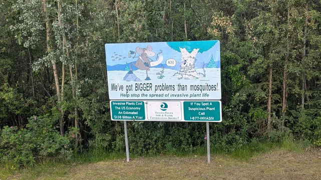 PXL_20250705_140935665.jpg