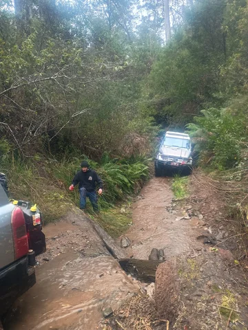 IMG-20250720-WA0161.webp