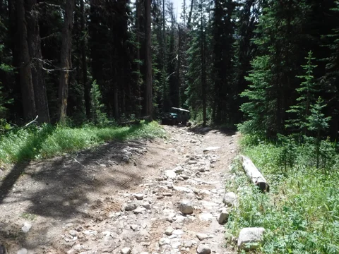 DSCF6489.webp