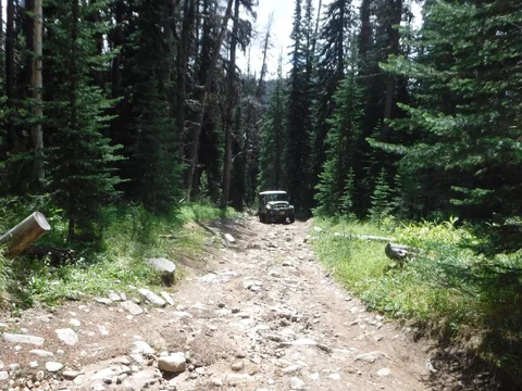 DSCF6493.webp