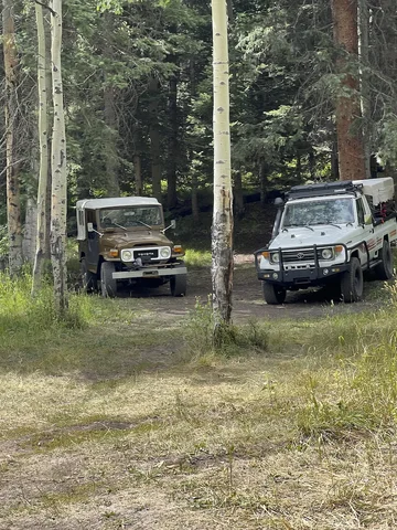 FZJ75AUG2025 SAS - 32.webp