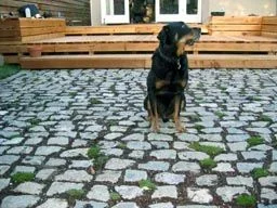 Cobbles.webp