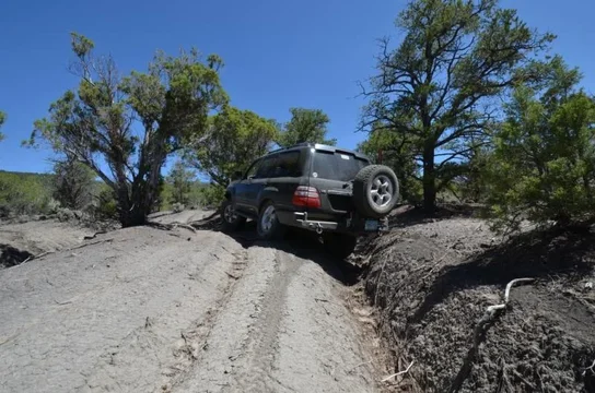 2011-08-07 Grand Mesa 030.webp