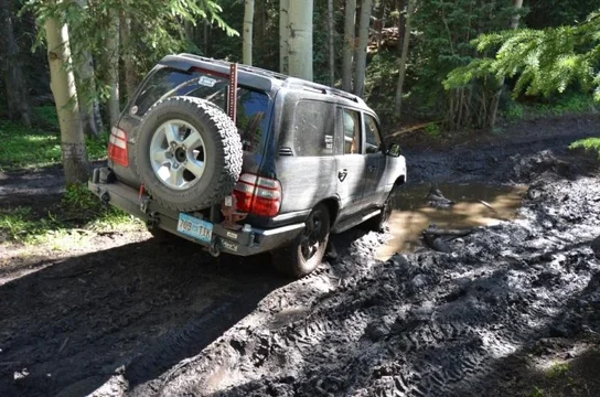 2011-08-07 Grand Mesa 058.webp