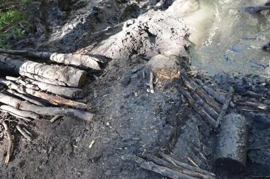 2011-08-07 Grand Mesa 063.webp